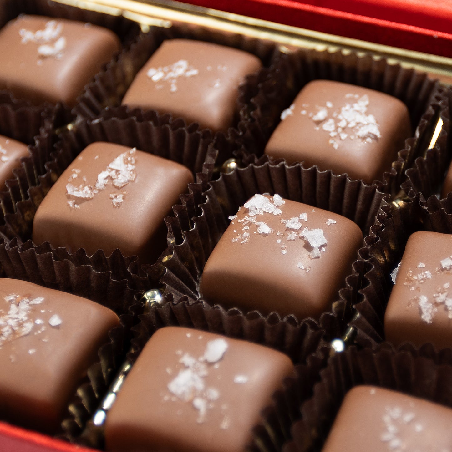 12 Piece Milk Chocolate Sea Salt Caramel Gift Box